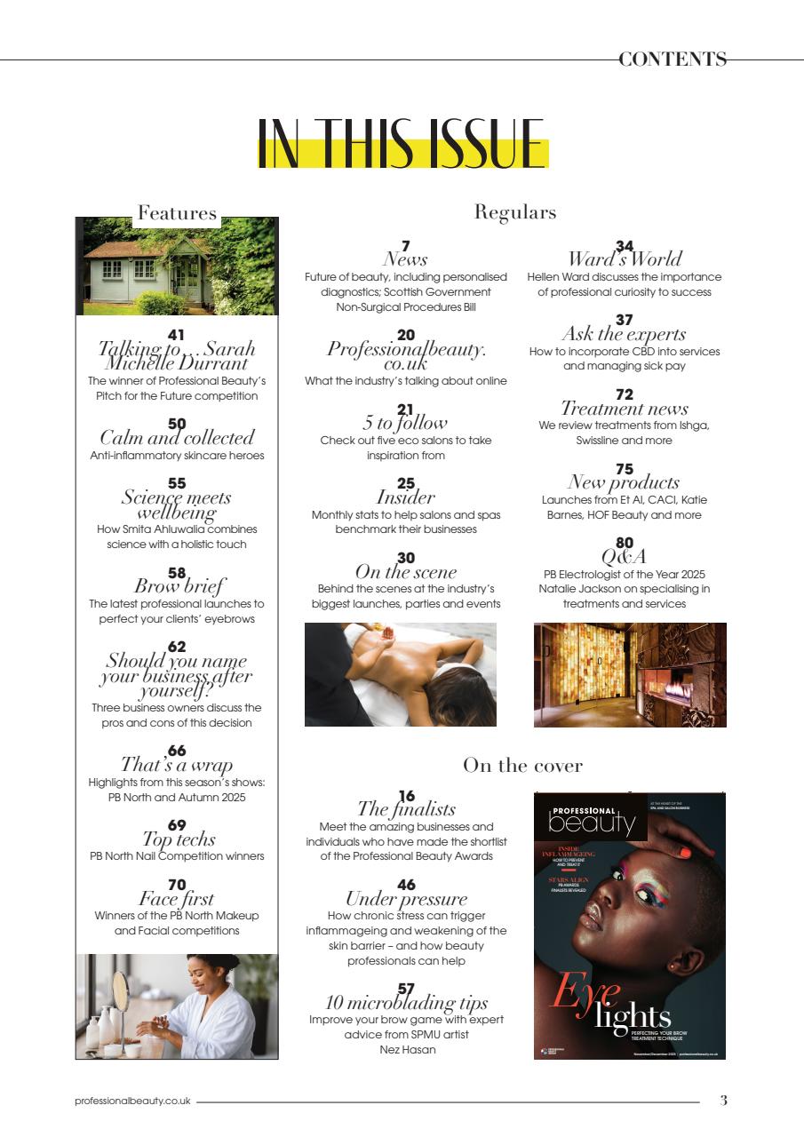 Professional Beauty Preview Pages