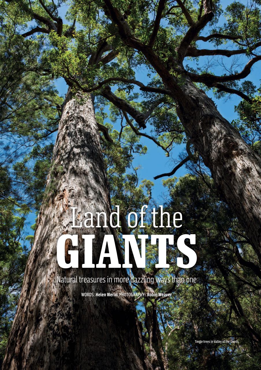 MMM magazine Preview Pages