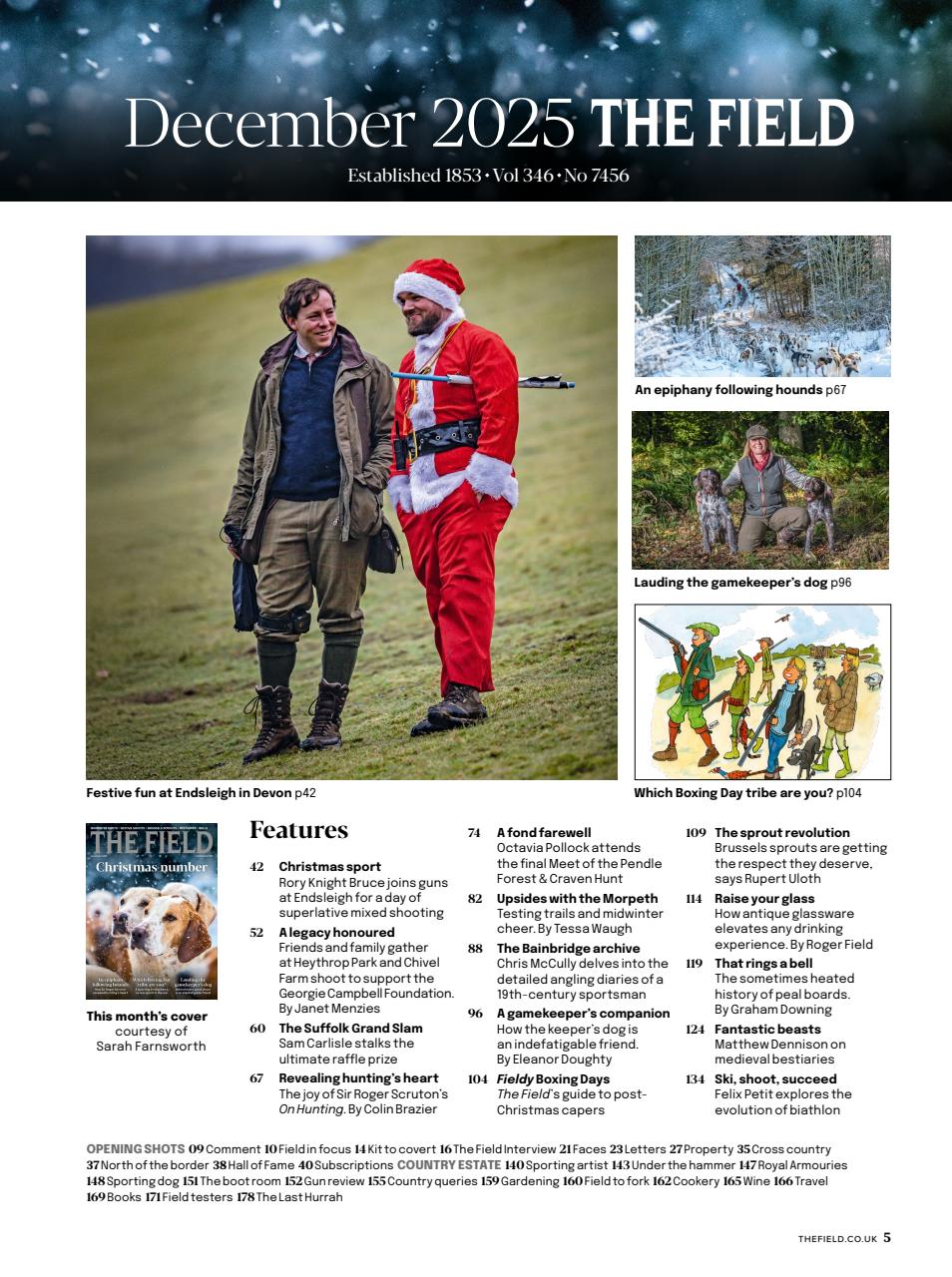 The Field Preview Pages