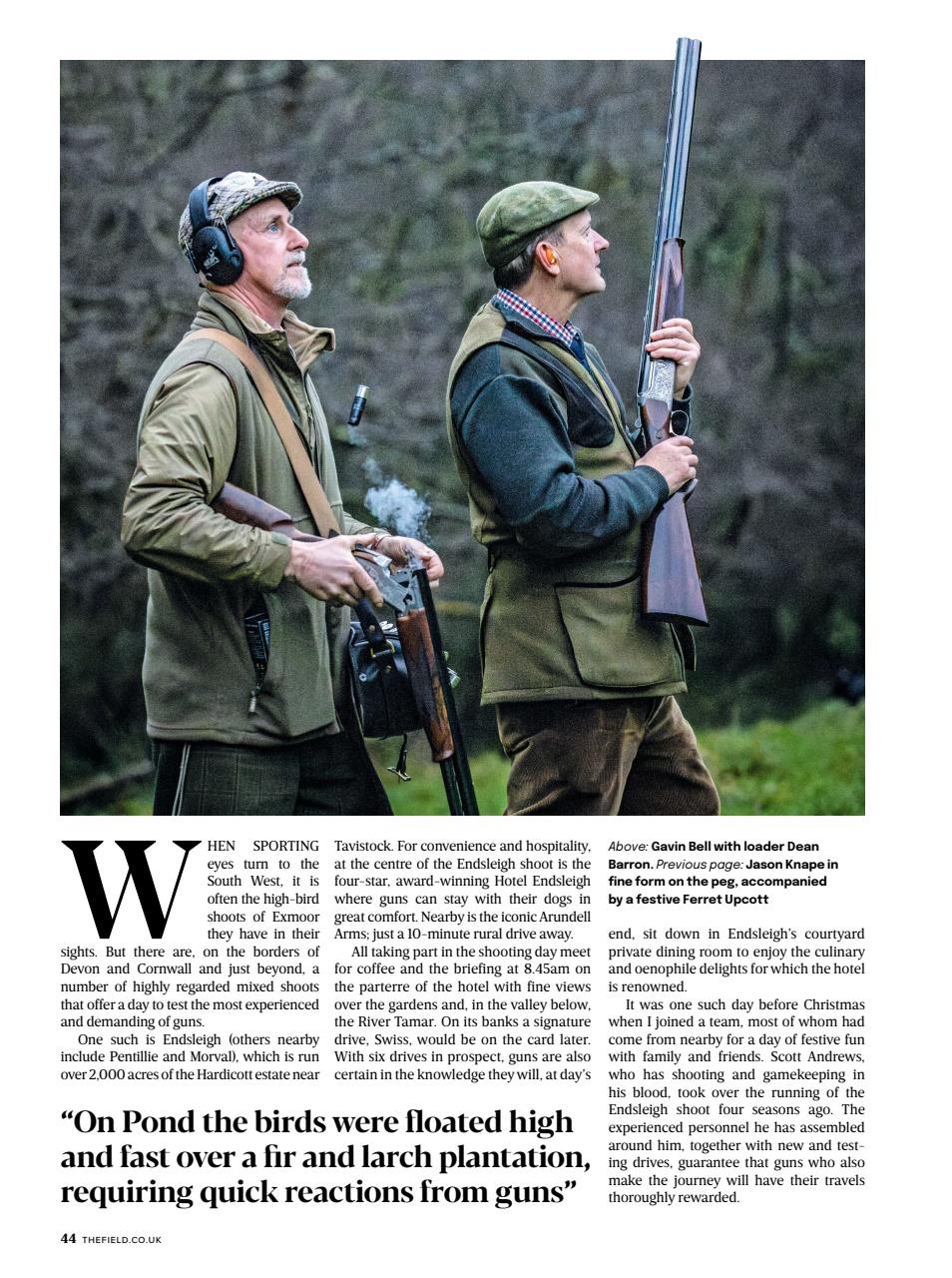 The Field Preview Pages