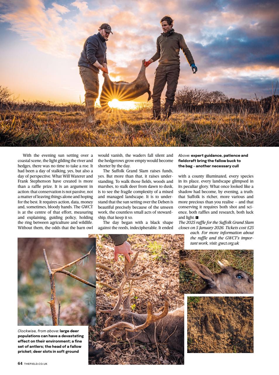 The Field Preview Pages