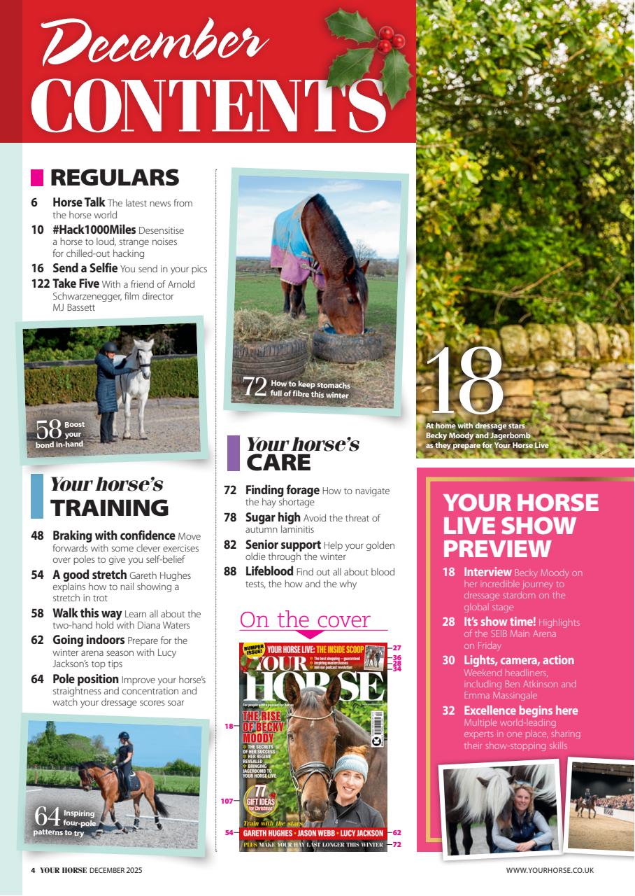 Your Horse Preview Pages