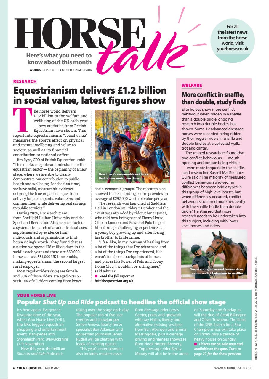 Your Horse Preview Pages