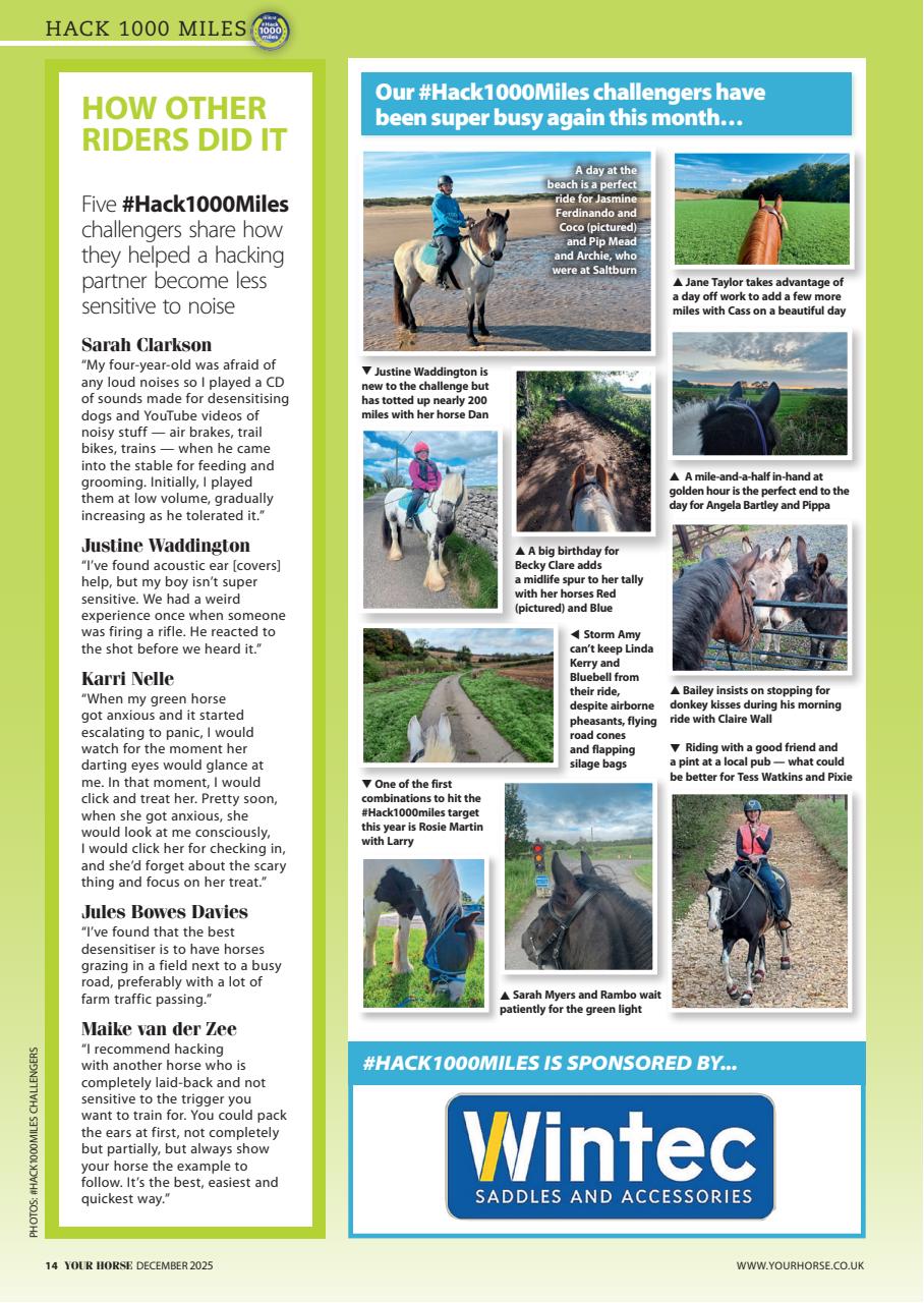 Your Horse Preview Pages