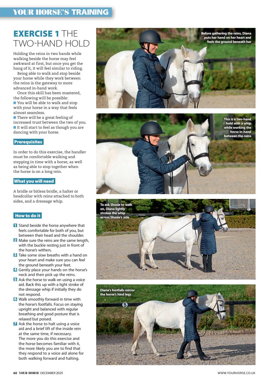 Your Horse Preview Pages
