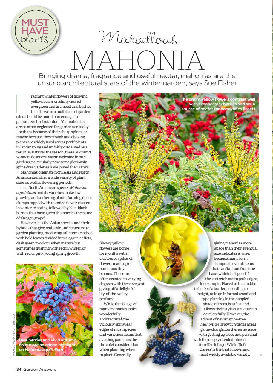 Garden Answers Preview Pages