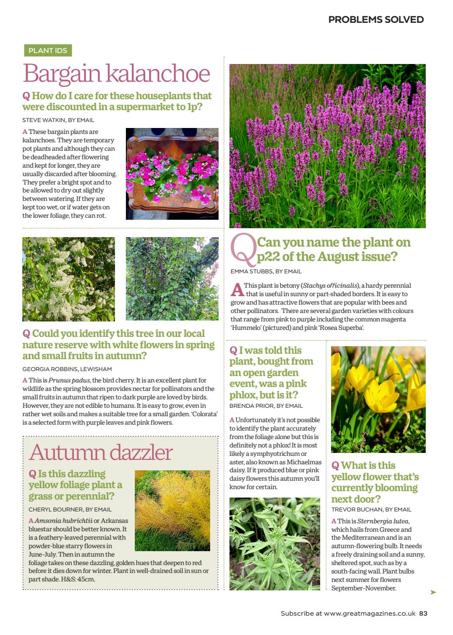 Garden Answers Preview Pages