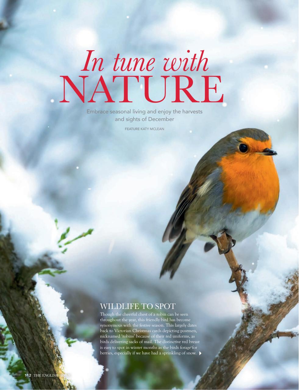 The English Home Preview Pages