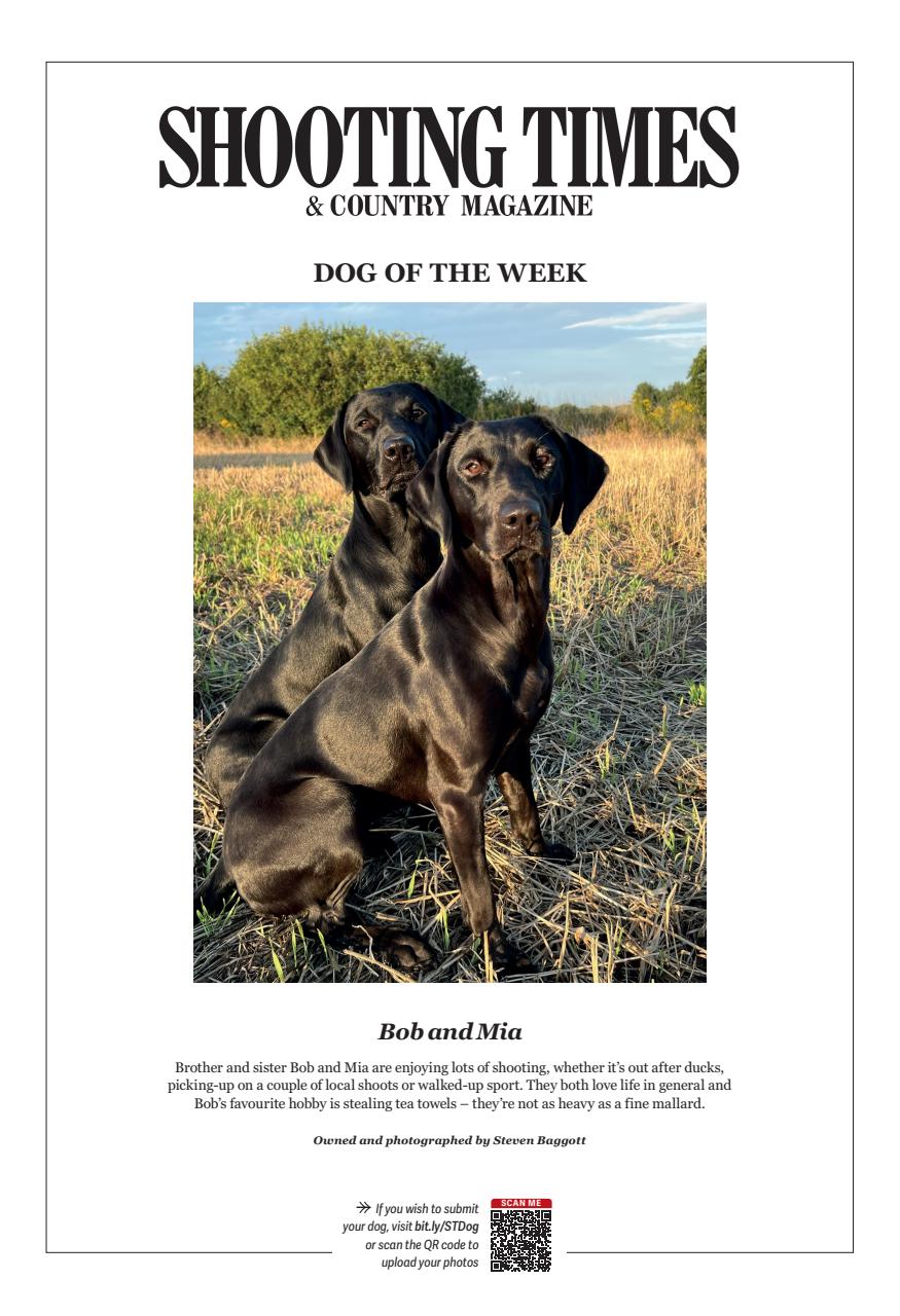 Shooting Times & Country Preview Pages