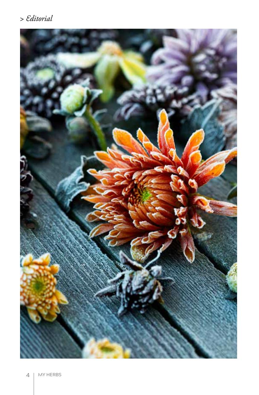 My Herbs Magazine Preview Pages