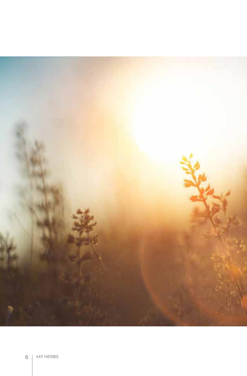 My Herbs Magazine Preview Pages