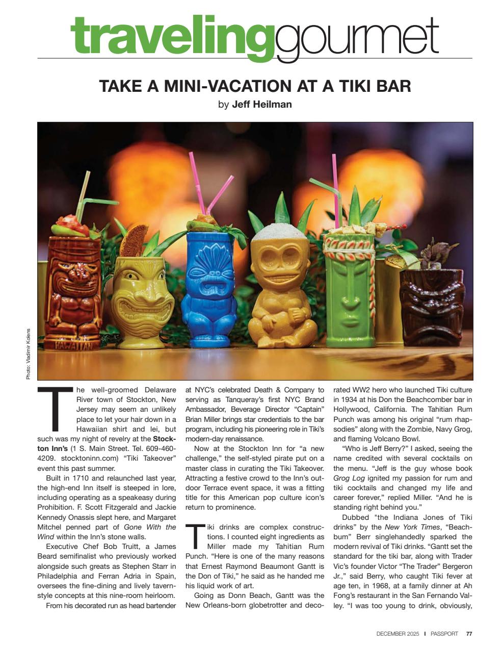 Passport Preview Pages