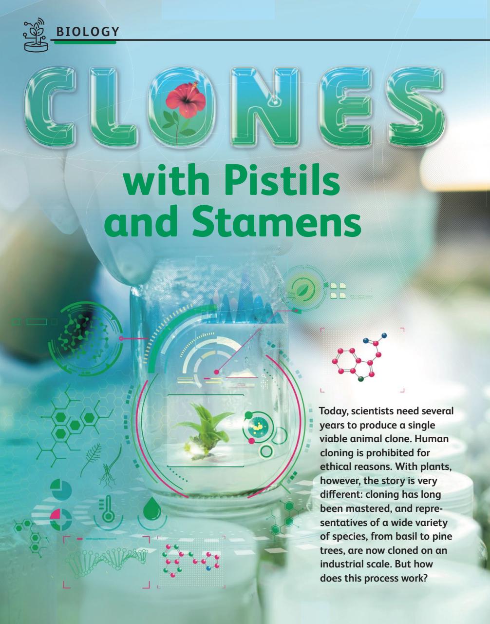 OYLA Magazine Preview Pages