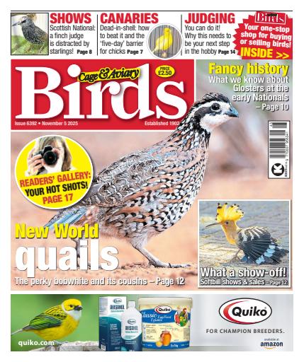 Cage & Aviary Birds issue 