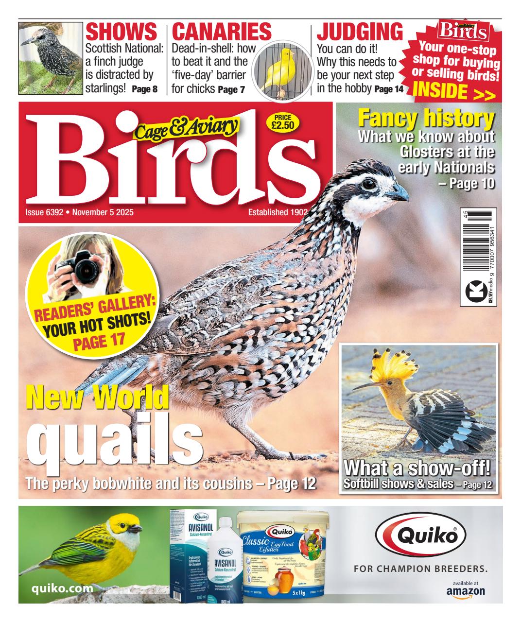 Cage & Aviary Birds Preview Pages