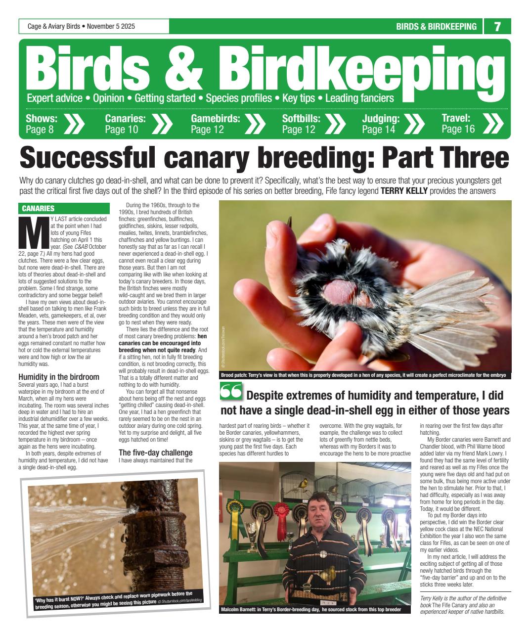 Cage & Aviary Birds Preview Pages