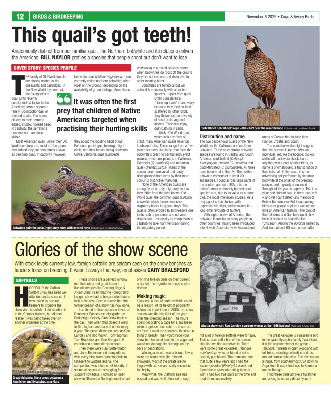 Cage & Aviary Birds Preview Pages