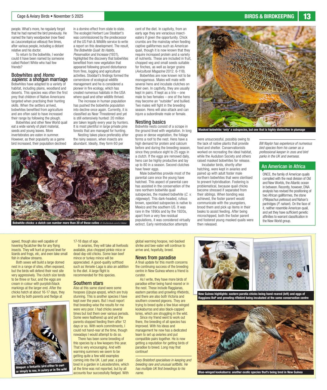 Cage & Aviary Birds Preview Pages