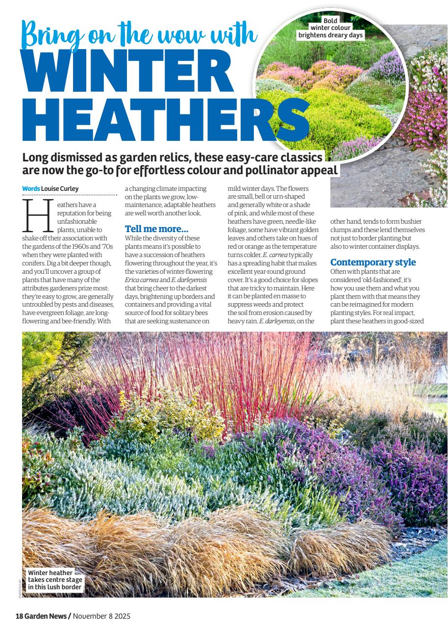 Garden News Preview Pages