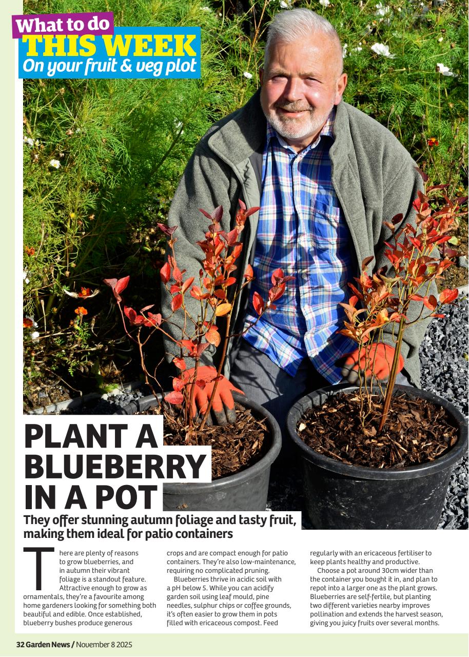 Garden News Preview Pages