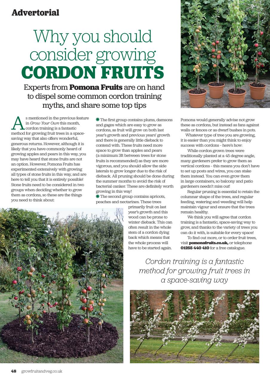 Grow Your Own Preview Pages