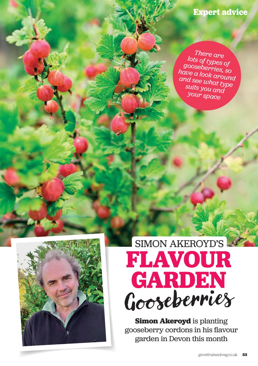 Grow Your Own Preview Pages