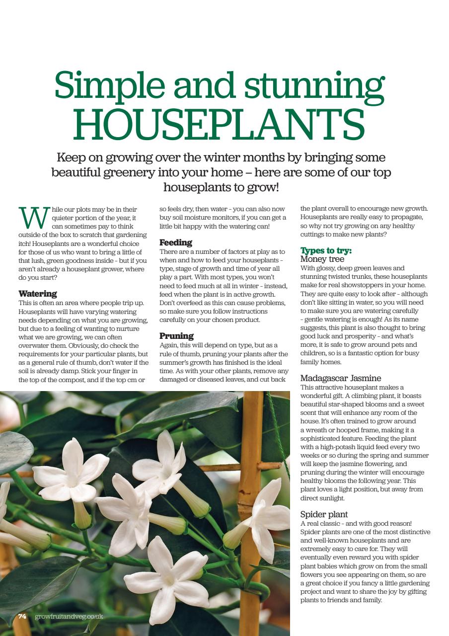 Grow Your Own Preview Pages