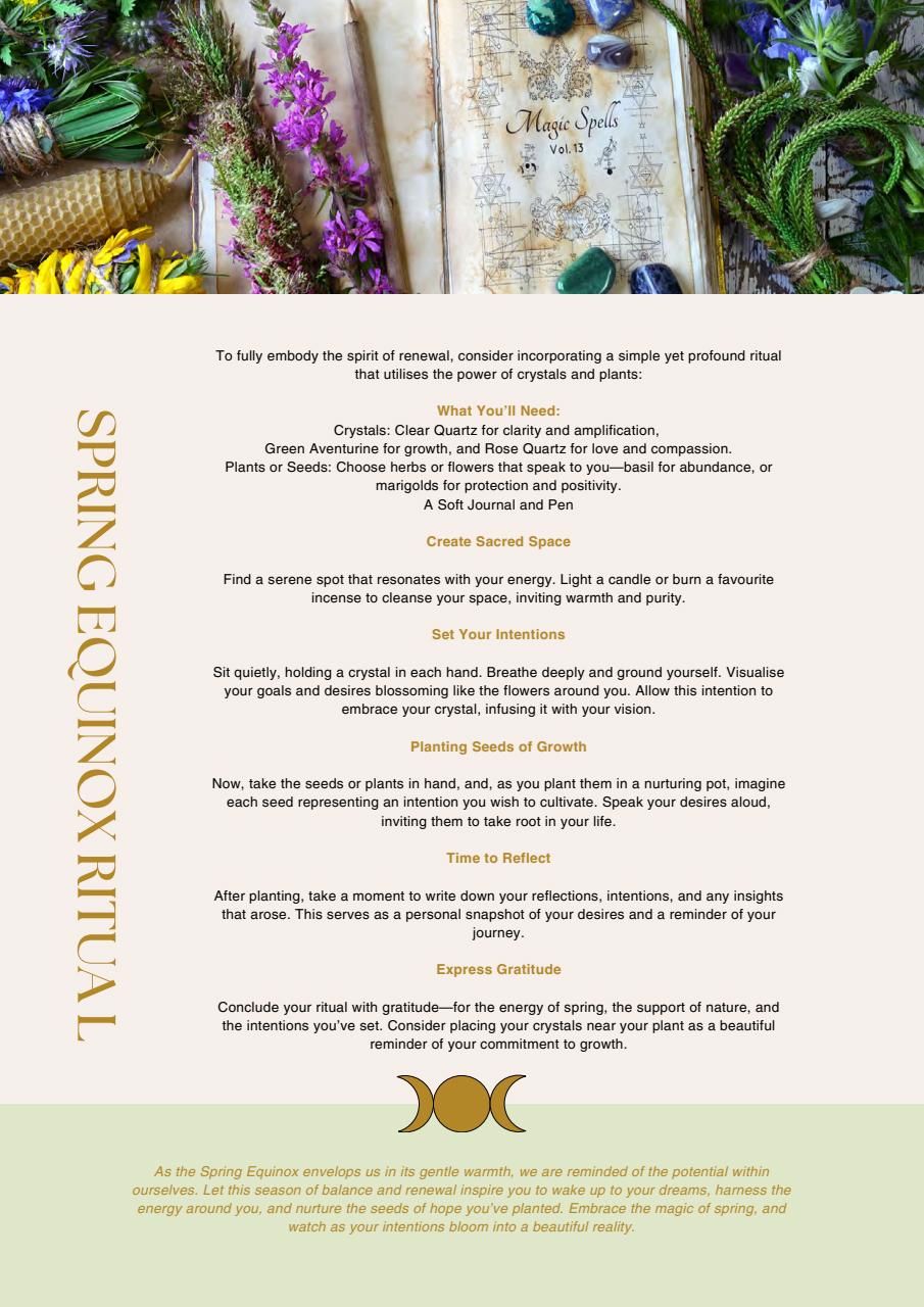 Haus of Wisdom Preview Pages