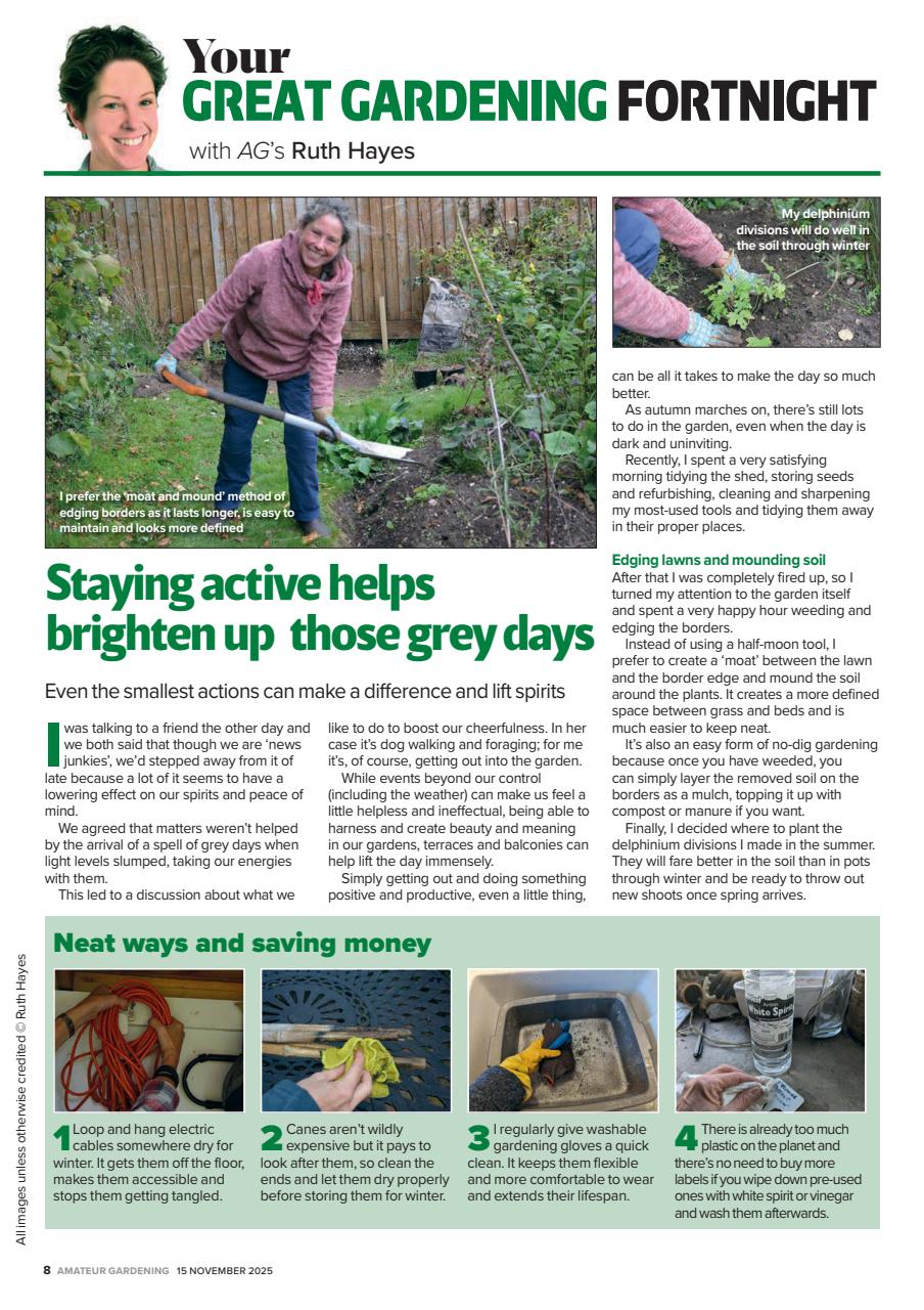 Amateur Gardening Preview Pages