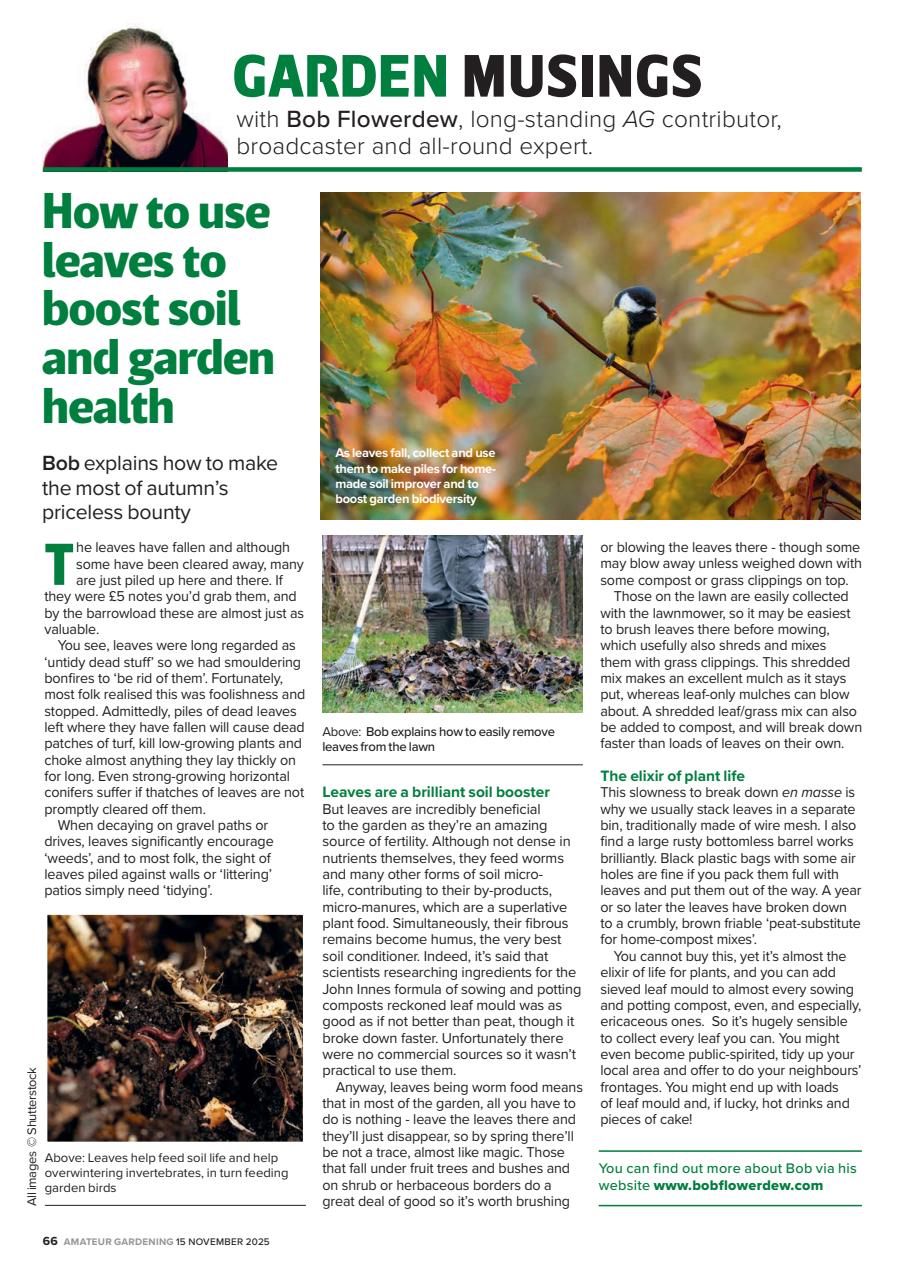 Amateur Gardening Preview Pages