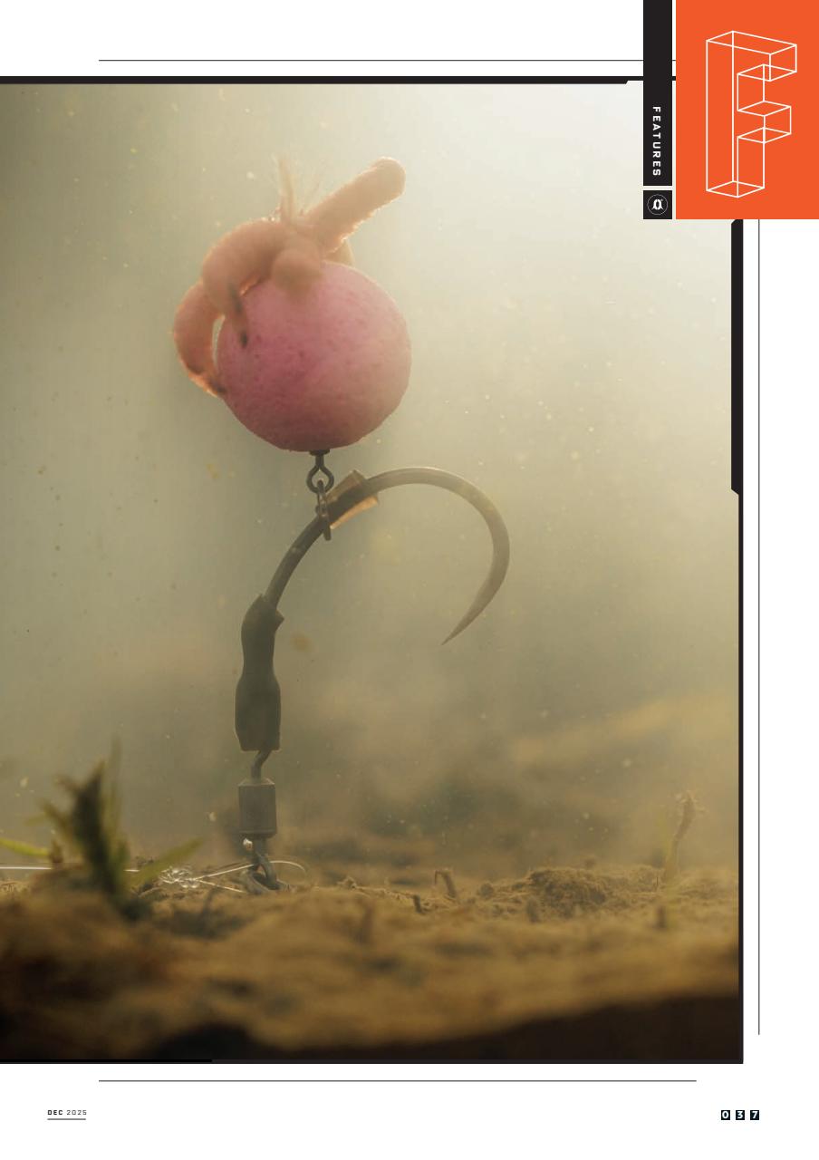 CARPology Magazine Preview Pages