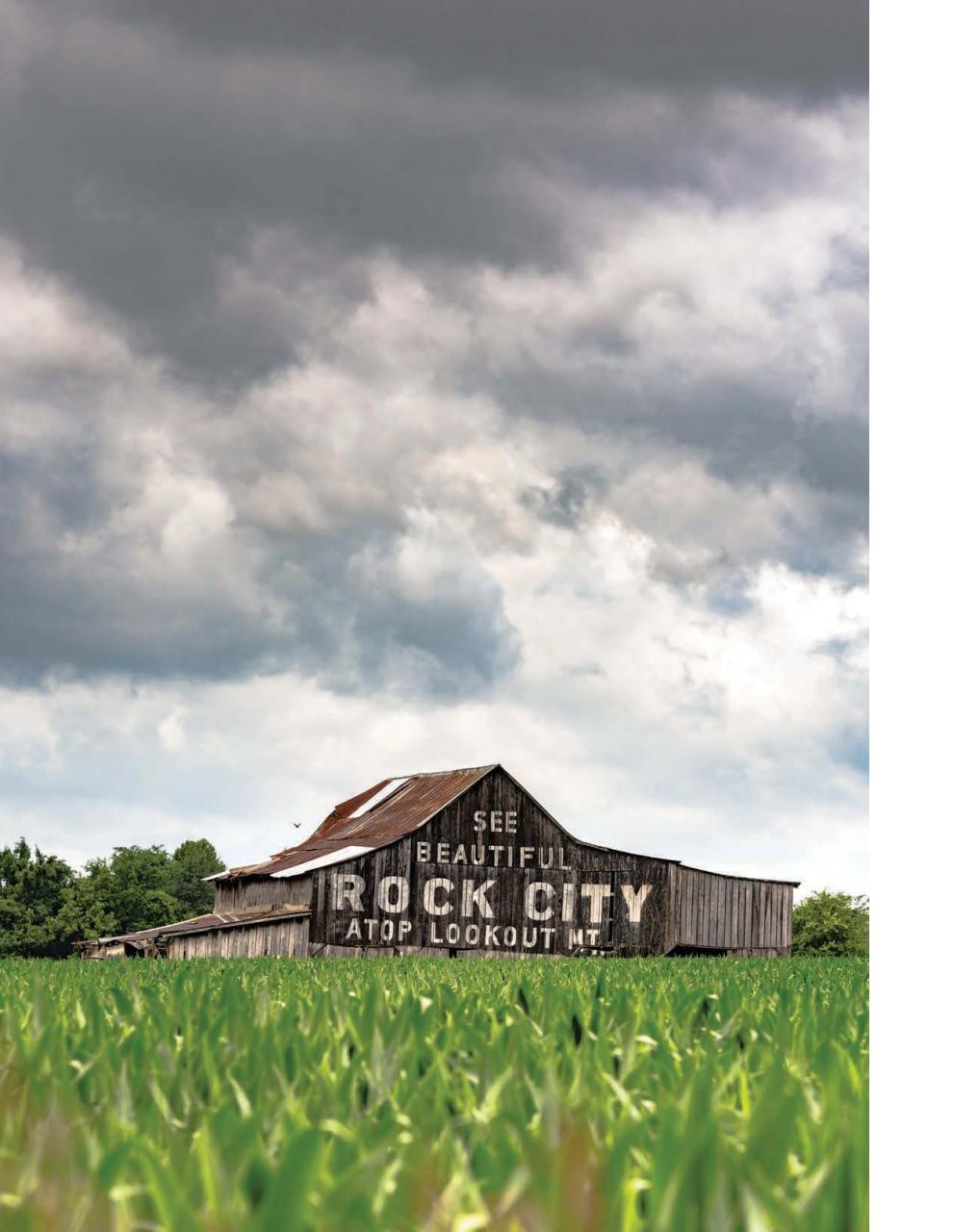 American Road Preview Pages