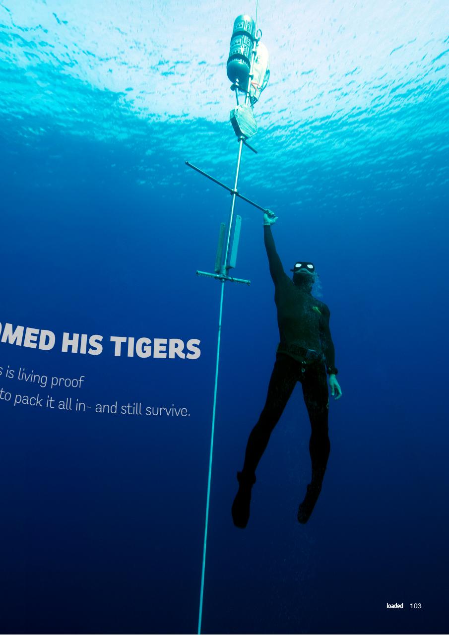 Loaded Preview Pages