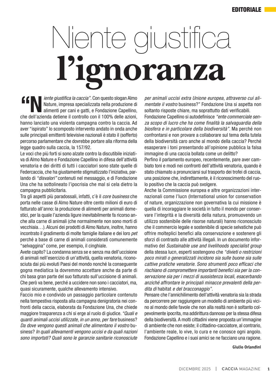 Caccia Magazine Preview Pages