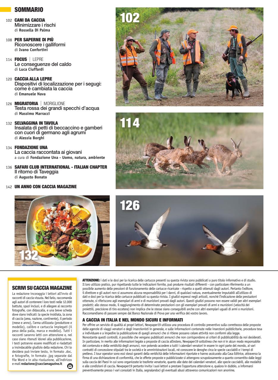 Caccia Magazine Preview Pages