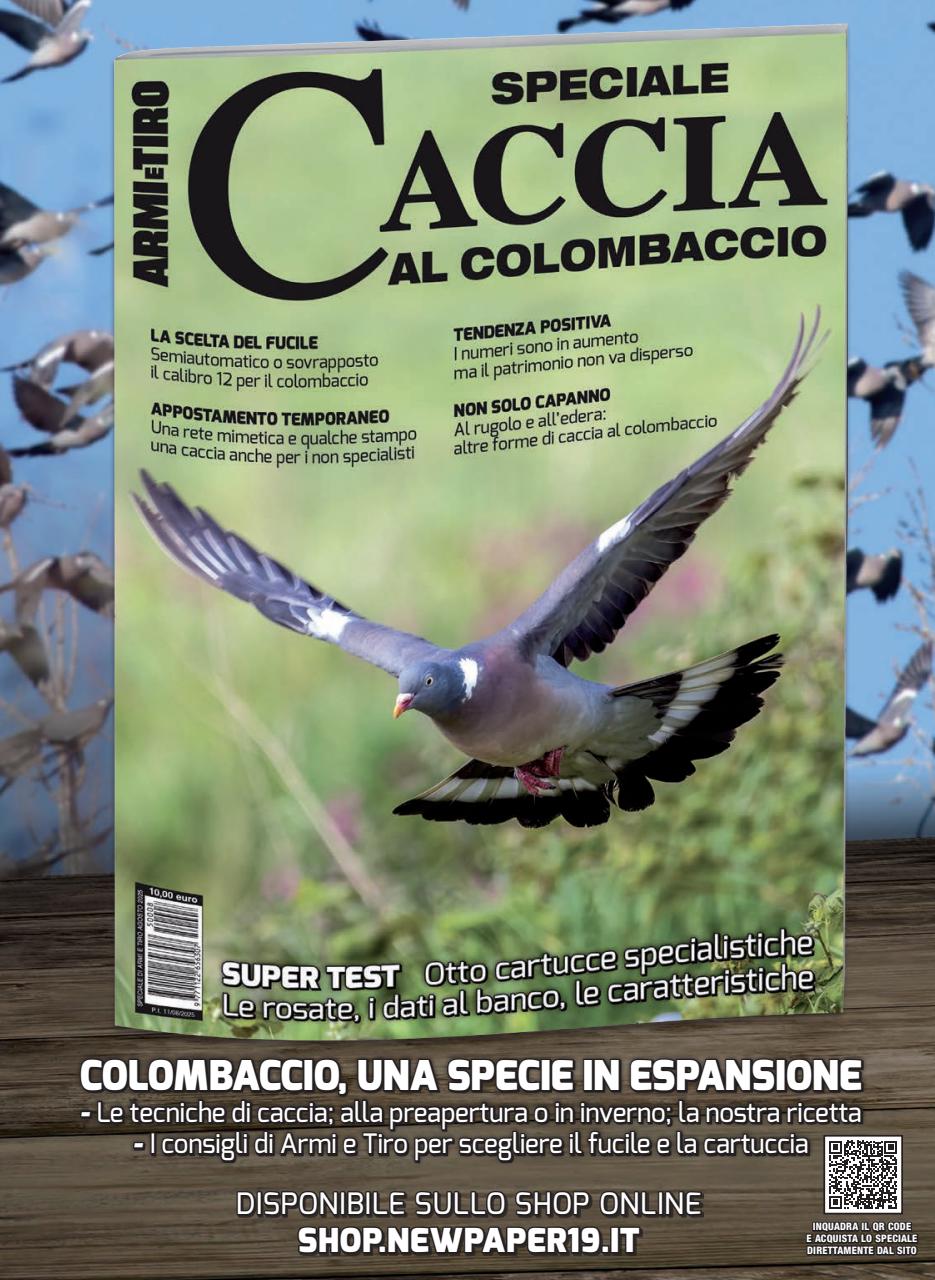 Caccia Magazine Preview Pages