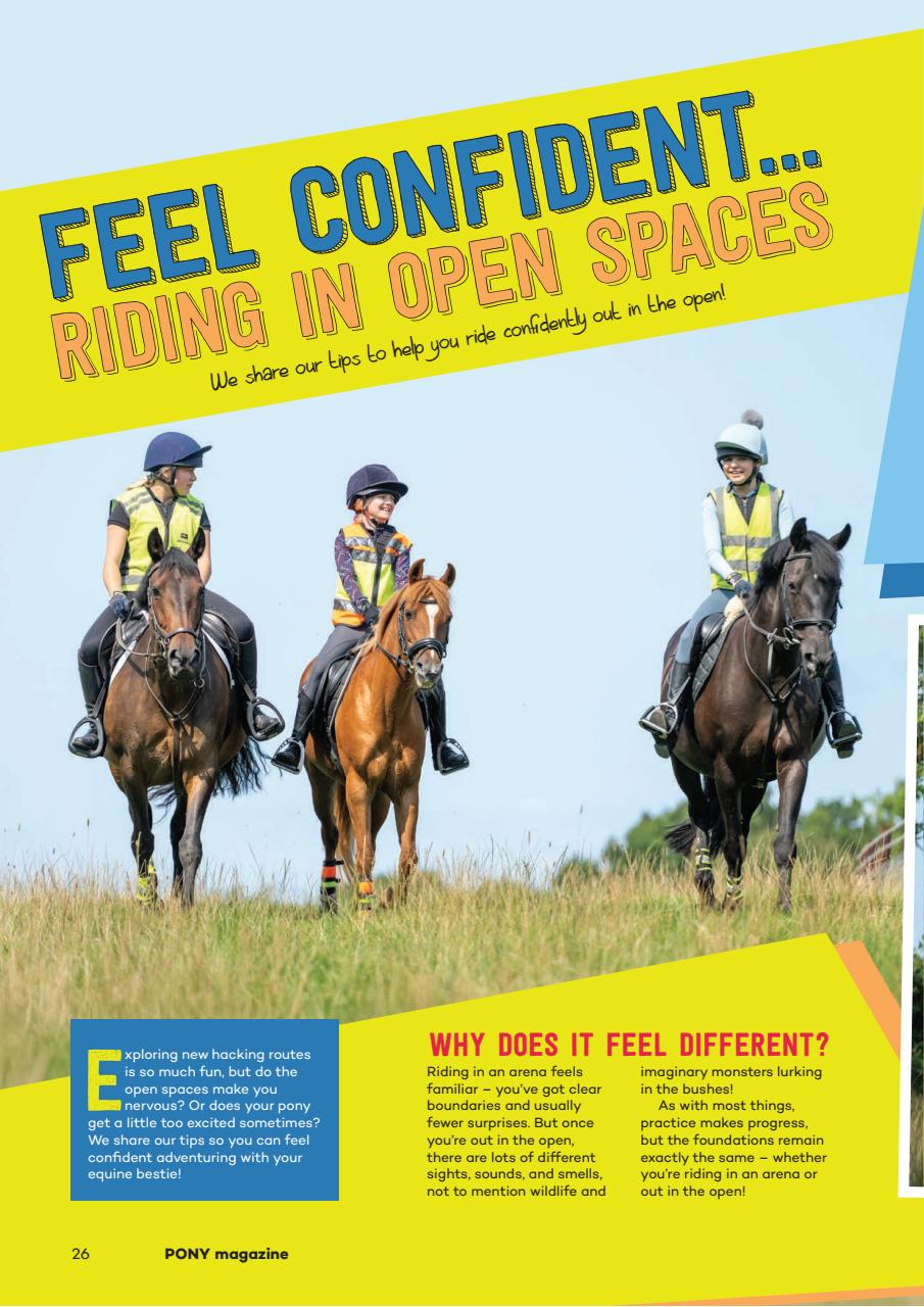 Pony Magazine Preview Pages