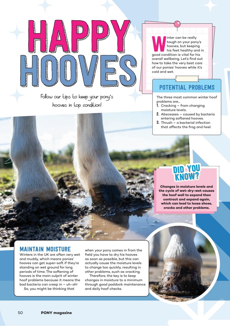 Pony Magazine Preview Pages