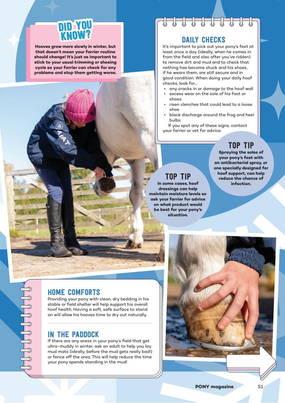 Pony Magazine Preview Pages