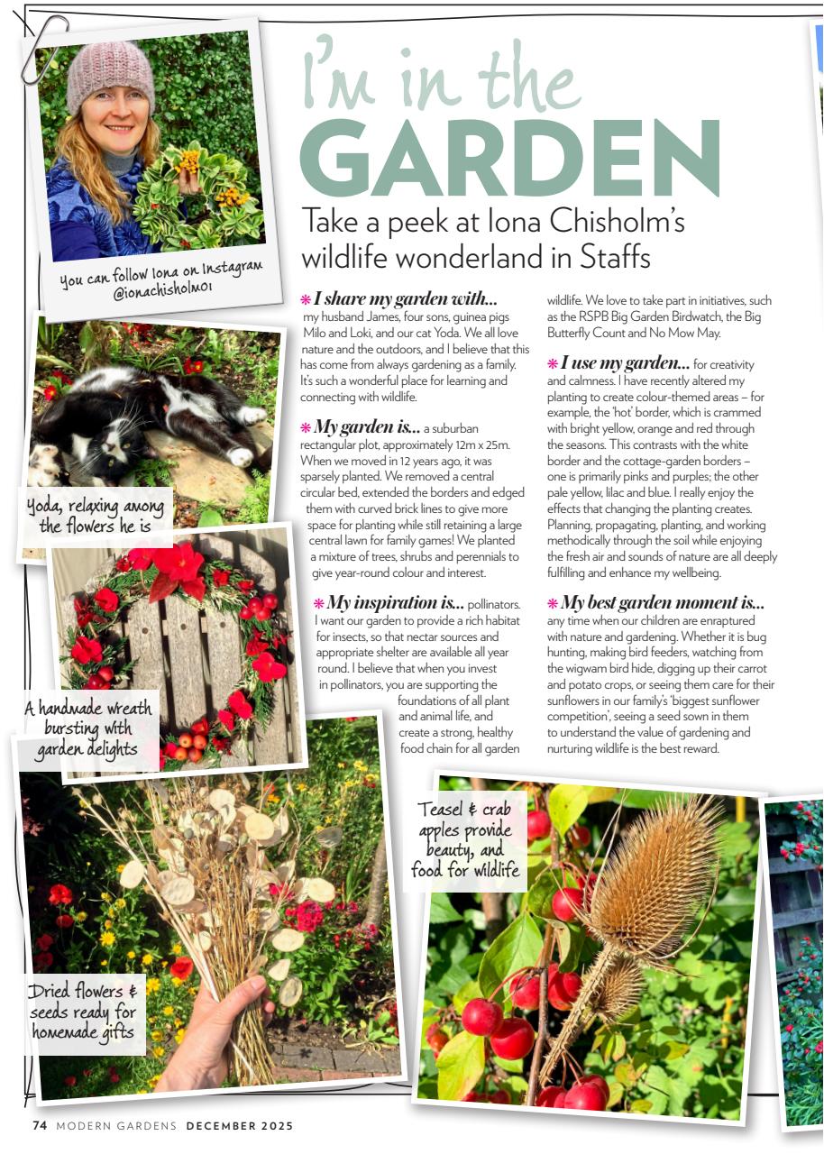 Modern Gardens Preview Pages