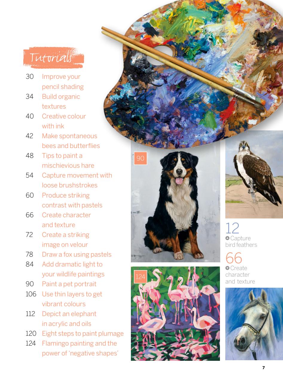 Creative Bookazine Preview Pages