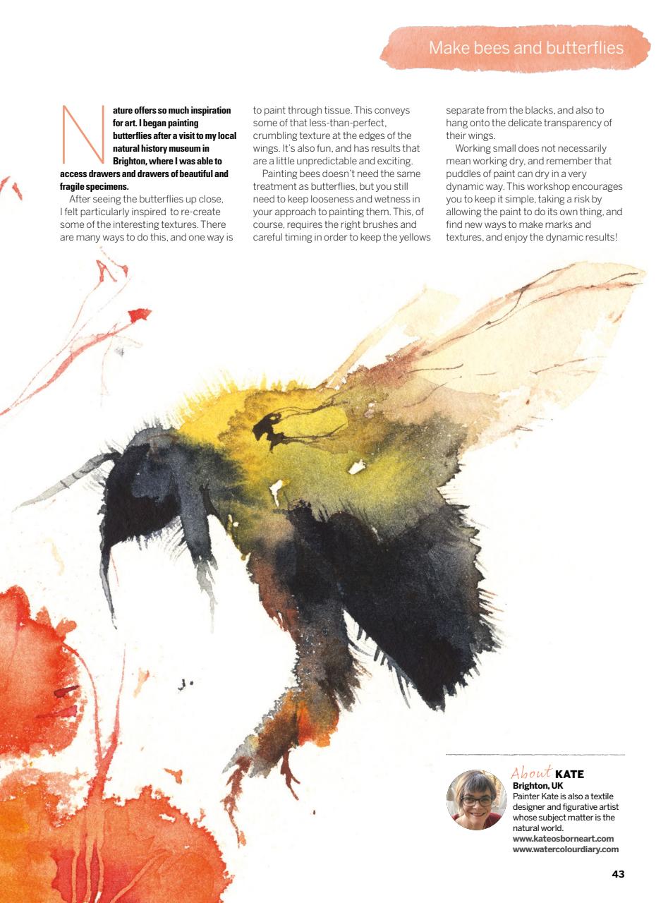 Creative Bookazine Preview Pages