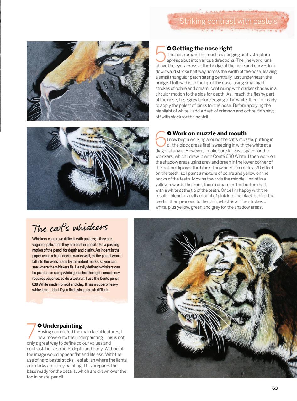 Creative Bookazine Preview Pages