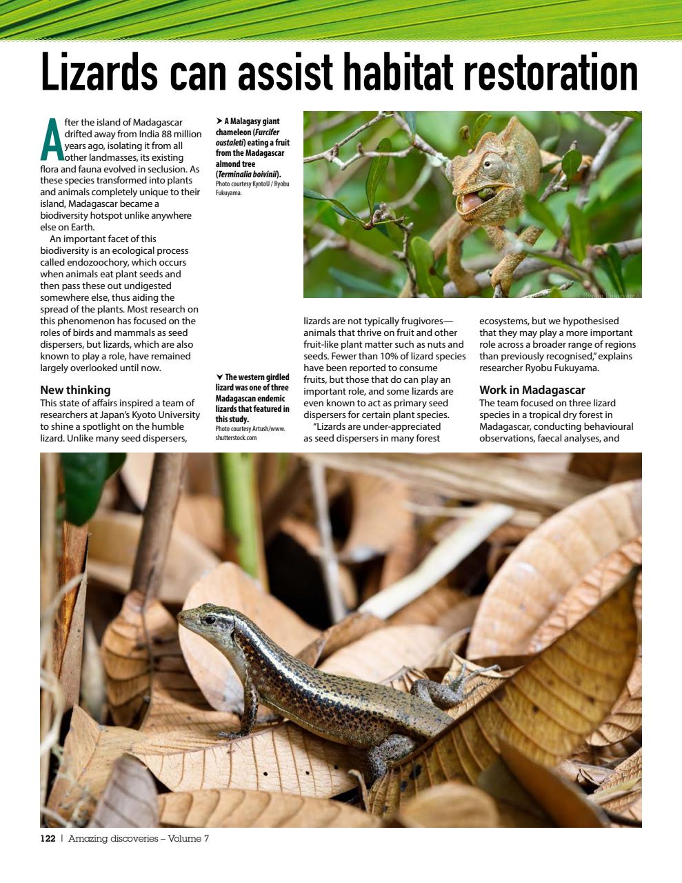 Practical Reptile Keeping Preview Pages