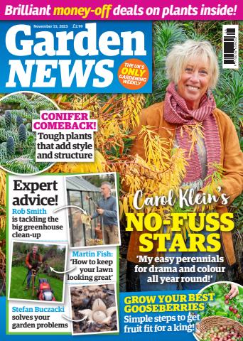 15-Nov-2025 issue 15-Nov-2025