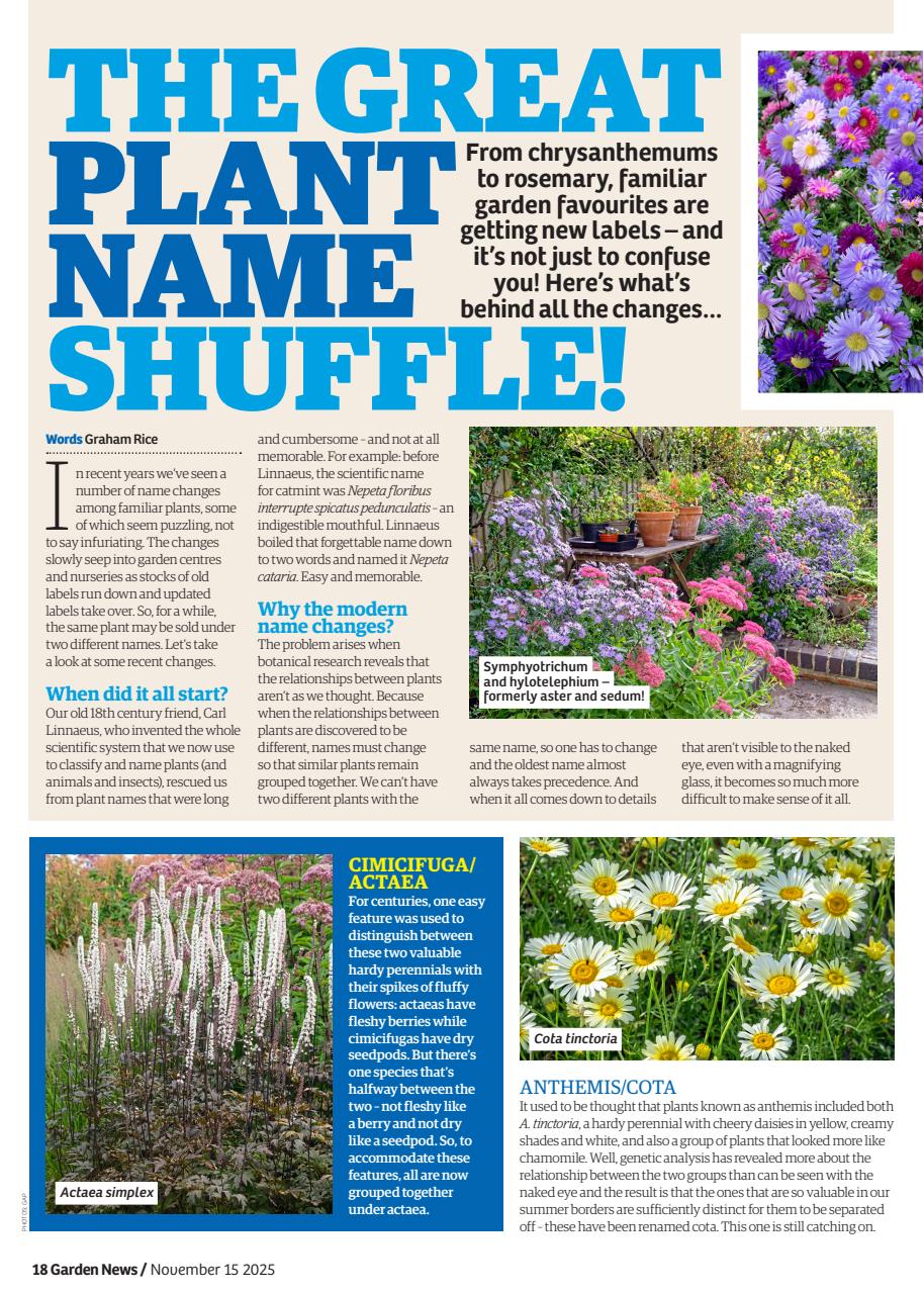 Garden News Preview Pages