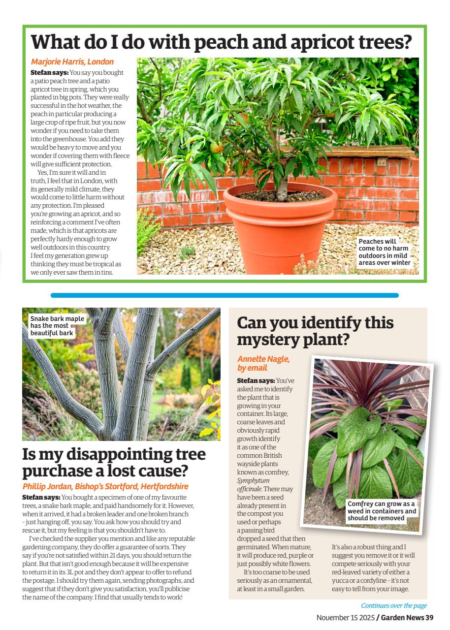 Garden News Preview Pages