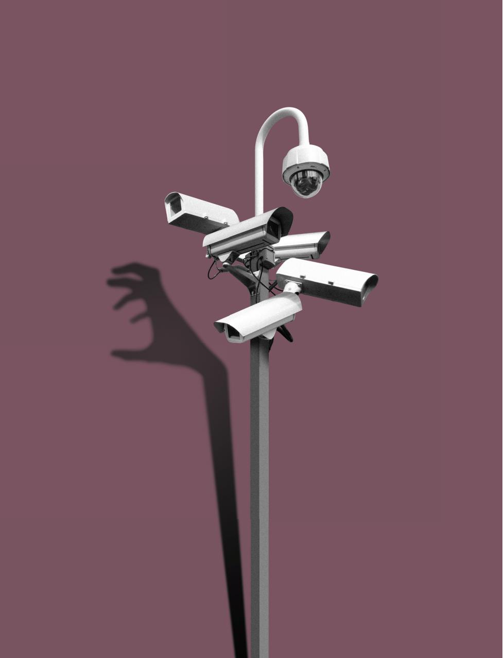 Prospect Magazine Preview Pages