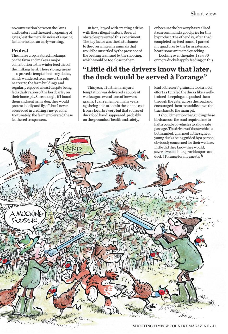 Shooting Times & Country Preview Pages