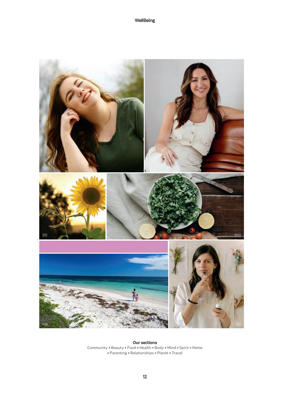 WellBeing Preview Pages